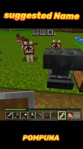Suggested name POMPUNA 😁😁😁. #minecraft #shortvideo #shorts
