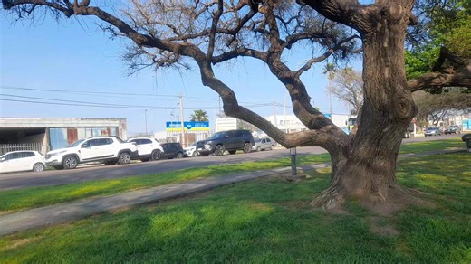 Videos de albertopomba (@albertopomba) con “sonido original - Lean Ovando (Samples/Kit)”