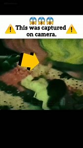 the Real story in USA #analoghorror #creepystories #paranormal #horrorstory #boogeyman | True scary story