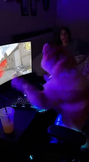 🎮 Teddy smashes keyboard, Mommy wakes up yelling it’s morning 😂🐶