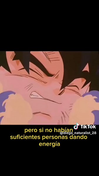 Cuidemos nuestros bosques nativos. #chile2023🇨🇱 #bosquenativo #lluvia #ciclodelagua #medioambiente #floranativadechile #conservacion #arbolesnativosdechile #reforestacion #restauracionecologica