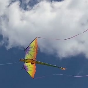 1.2K views · 22 reactions | Our #WINDNSUN #DragonKites are making rounds! Sending some love to @b1u3too for this awesome video. #FlyXKites #XKites #DragonKite #Kites #Kite #FlyaKite #Dragon #MotherofDragons #GOT | X Kites | Facebook