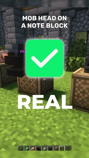 Do These Minecraft Myths Actually Work?