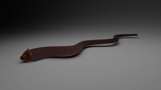 Umdlambila: Zulu Mythical Creature and Folklore Explained