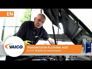 Transmission flush Audi Multitronic | VAICO EXPERT-KITS+ V10-3231-XXL for CVT transmission