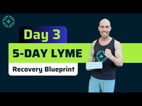 4 Lyme Fatigue Breakthroughs for Rebuilding Your Energy [Day 3]: 5-Day Lyme Recovery Blueprint