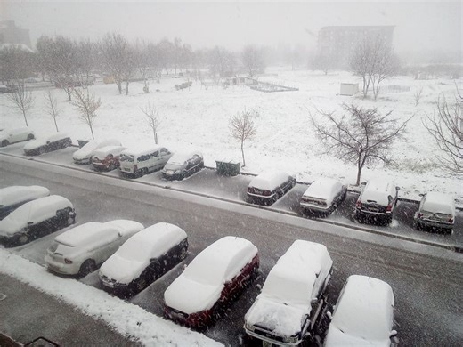 And Now Snow! Croatia, Where Winter is Spring, and Spring is Winter - Total Croatia