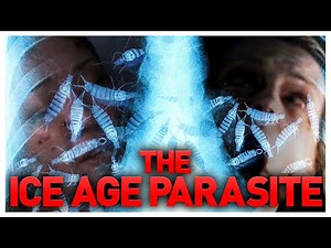The Thaw Parasite Explored | How the Immune System Tries and Fails to Clear Parasite infections