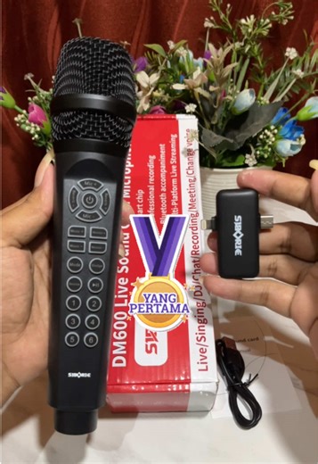 Siborie DM600 Wireless Microphone Sound Card Review