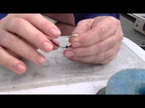 How to rig a wild shiner for trophy bass in heavy cover