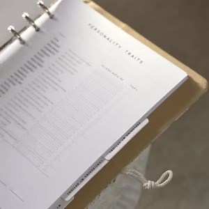 Career Planner | How to Choose a Career | Career Guide | Work Values | Career Path Workbook | Career Guidance | Career Counselor | PRINTABLE - Etsy UK