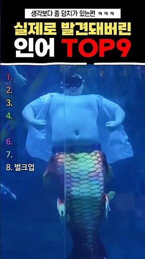 실제로 발견돼버린 인어 TOP9