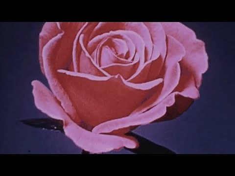 current joys - blondie (slowed down)