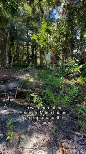 Getting the Seaboard Marsh South boat access only primitive campsite on the Kissimmee River Paddling Trail ready for camping season with volunteers from the FPTA and SFWMD who created the trail. #floridapaddling #fpta #sfwmd #southfloridawatermanagementdistrict #Kissimmeeriver #Kissimmeeriverpaddlingtrail | David S. Chen