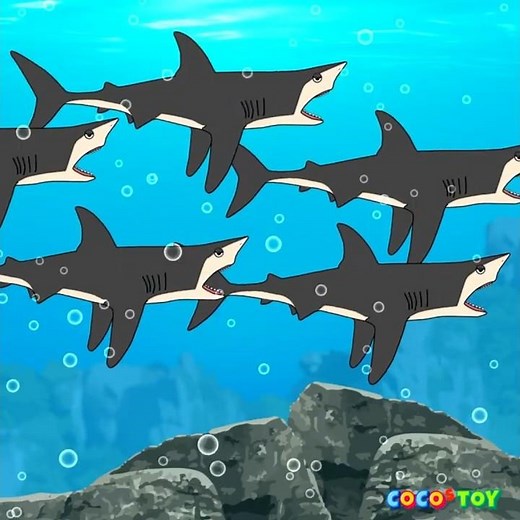 KRㅣ백상아리송 (Great white shark song) M/V #ShortsㅣCoCosToy