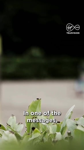 "Jonny Creswell thought he owned Katie, she was part of his property" This concluding episode of The Show Jumper Murder continues the investigation into the death of young showjumper Katie Simpson, exposing the devastating impact of coercive control and the tireless fight for justice by her family and loved ones. If you've been affected by any of the issues in this clip, you can find contact helplines at virginmediatelevision.ie/helplines Link In Bio 🔗 #TheShowJumperMurder | Tonight at 9pm on V