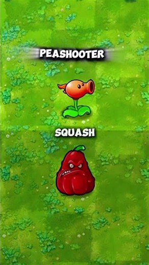 Peashooter vs Squash! 🔥 #pvz #plantsvszombies