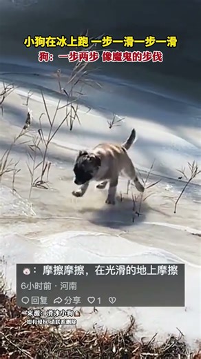 狗：一步兩步 像魔鬼的步伐Dog: One step, two steps, like the devil's pace.