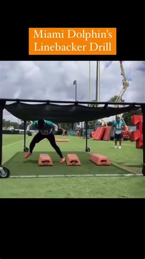 Miami Dolphins Linebacker Drill 🏈🐬🌴