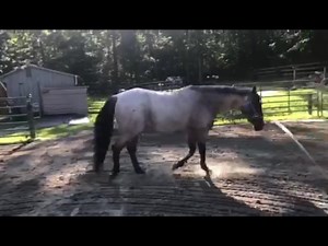 4.7K views · 12 reactions | CASE OF THE MONTH; BEFORE AND AFTER IS...