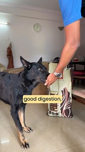 442K views · 225 reactions | Low energy, dull coat, frequent...