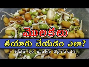 🔴మొలకలు ఎలా చేయాలి🔴 |#Molakalu_ela_tayaru_cheyali | #Sprouts_Making #Molakettina _ginjalu #VRK_Diet