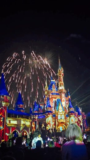 The most magical evening at Happily Ever After, Disney world, WE SAW TINKERBELL FLY 😍 #disneyworld #disneyparks #happilyeverafter #tinkerbell #cinderellacastle #fireworks #tink #magickingdom