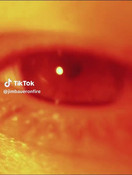 Vendredi 28 novembre