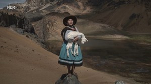 World Press Photo Award: Das Altonaer Museum zeigt die besten internationalen Pressefotos im Rahmen der Woche der Pressefreiheit. | NDR Hamburg