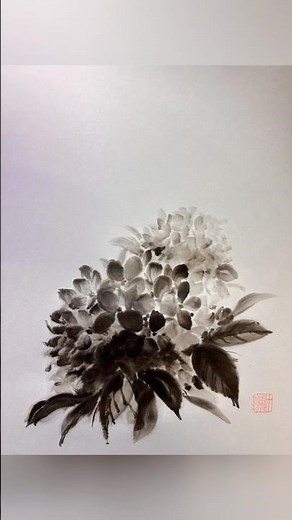 紫陽花の水墨画描き方: Hydrangea Sumi-e