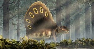 Dimetrodon, el animal prehistórico que muchos confunden con un dinosaurio