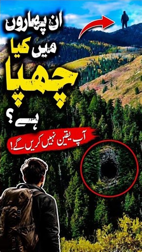 POV: You Finally Escaped the Noise #shorts #mountains #peace