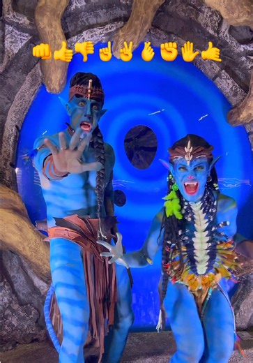 Acho que a gata não está concentrada! 🤣💙 Você consegue? @apollosant1 #avatar #tutorial