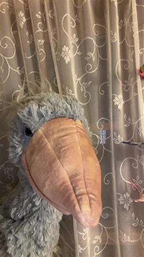 Exploring Bilingualism with a Fun Hand Puppet