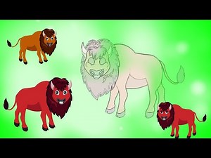 Bison Animated Cartoon|copyright free green screen animated bison cartoon|Cartoon BISON|No COPYRIGHT
