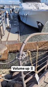 Wild scenes from Breakwater Cove Marina in Monterey Bay. Anyone know what's going on? video credit @mtrybayboatworksco . . . . . . . . . . . . #BDOutdoors #bdoutdoorsdotcom #bloodydecks #offshorefishing #socal #fisherman #anglers | BD Outdoors
