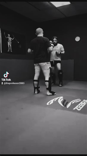 #theprofessor #justtraining