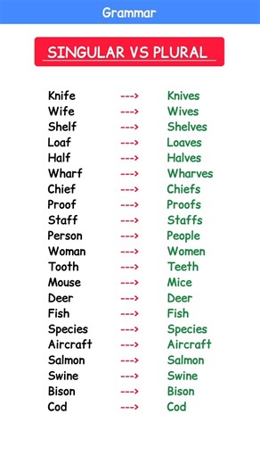 🚀 20 Singular & Plural Words Every English Learner Must Know!