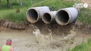135K views · 17 reactions | Près de Rennes, 1 400 coureuses et coureurs ont participé à la Keskonfoula, la course à obstacles autoproclamée la plus déjantée du pays. | Ouest-France Saint-Malo | Facebook