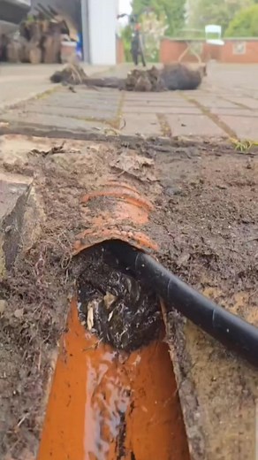 Roots vs. Raw Harben Jetter Power—Watch the Showdown | Titanium Drainage