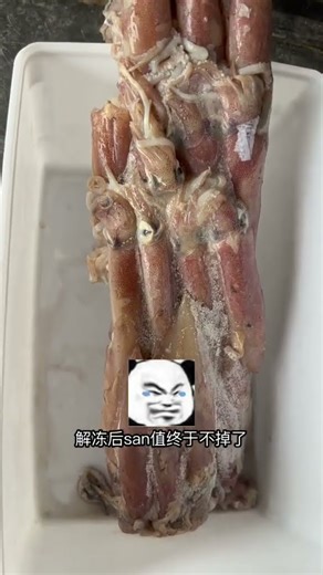 Ancient Cthulhu Squid Still fresh #Eat well and live well#Daily vlog#Food vlog#Just anothe