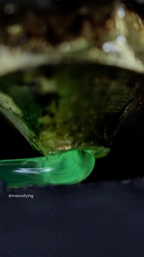 macrofying on Instagram: "The nozzle of a 3D Printer extruding filament to form layers. #microscope #sicence #3dprinting #asmr #micro #macro #zoom #macrofying"
