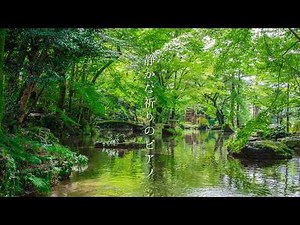 【BGM】静かな祈りのピアノ | リラックス＆ヒーリング【途中広告無し】