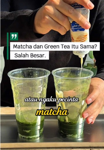 ada yang masih ngira matcha dan green tea itu sama ? tanamannya sama tapi perlakuannya beda ya #agriculture #petanimuda #pertanian #fyp