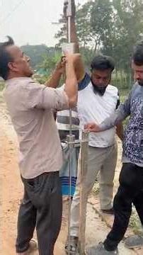 Field DCP Test #petshub