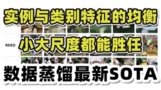 数据蒸馏最新SOTA：均衡实例与类别特征，大小尺寸皆可胜任