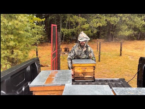 How We Overwinter Honeybees in Northern Minnesota | 2022 Honey Harvest