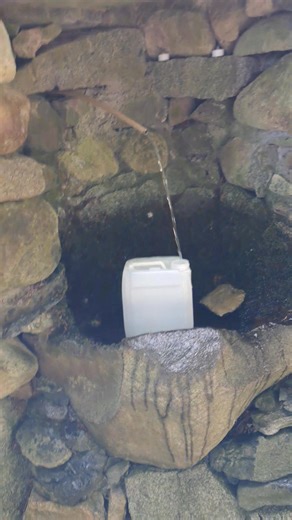 4.7K views · 193 reactions | The healing fountain. | The Phantom Planter | Facebook