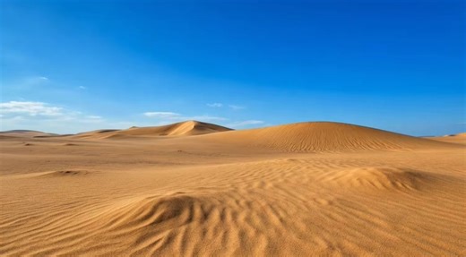Desert Transition Over 100 Years