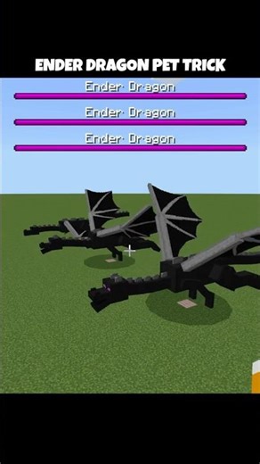 🐲 Minecraft: Ender Dragon Pet Trick #minecraft #enderdragon